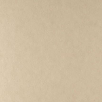 Tints 20523